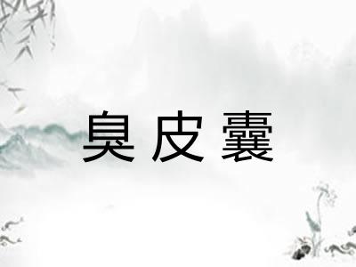 臭皮囊