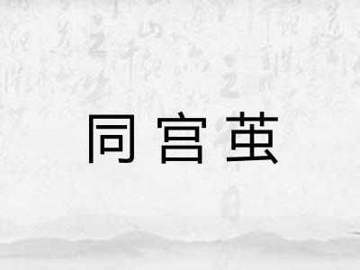 同宫茧
