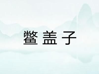 鳖盖子