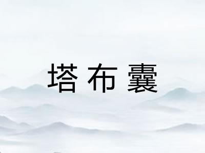 塔布囊