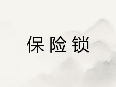 保险锁