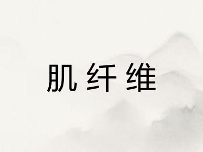 肌纤维
