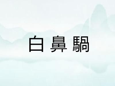 白鼻騧 白鼻騧