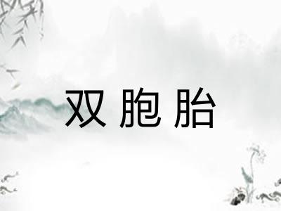 双胞胎