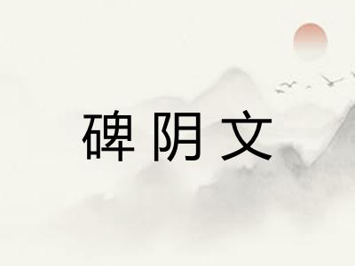碑阴文 碑阴文