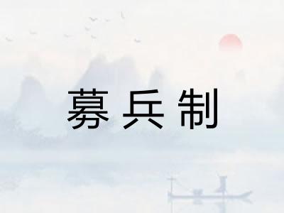 募兵制
