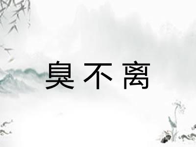 臭不离