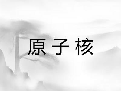 原子核 原子核