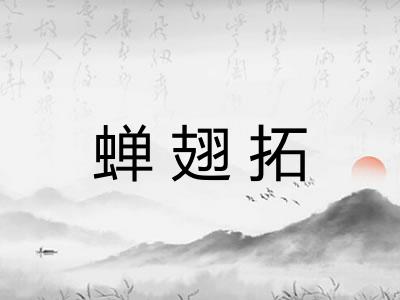 蝉翅拓
