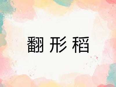 翻形稻