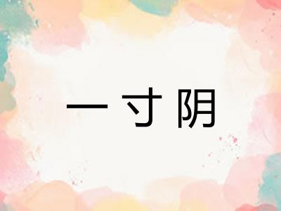 一寸阴
