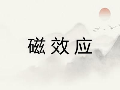 磁效应