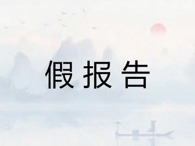 假报告