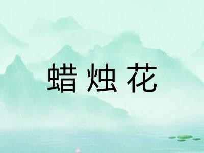 蜡烛花