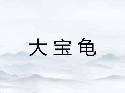 大宝龟