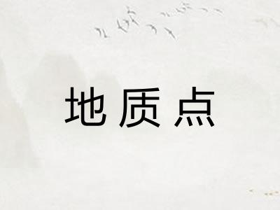 地质点
