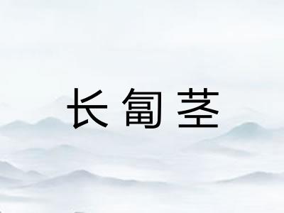 长匐茎