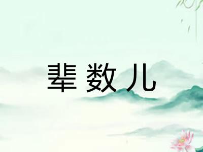 辈数儿