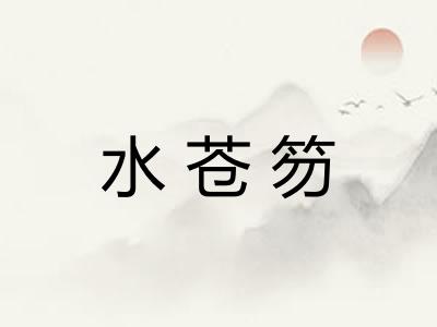 水苍笏