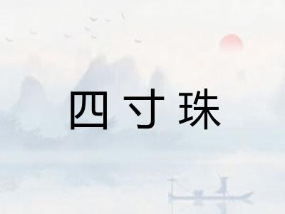 四寸珠