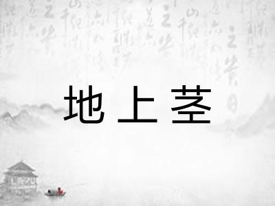 地上茎 地上茎