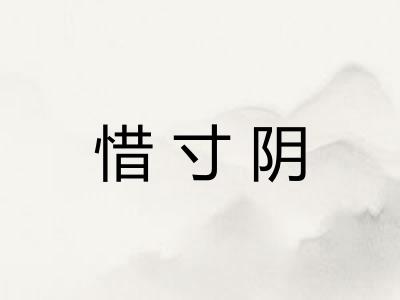 惜寸阴
