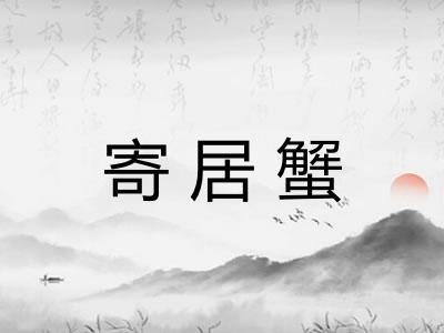 寄居蟹