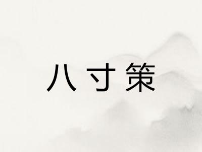 八寸策