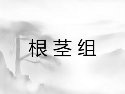 根茎组
