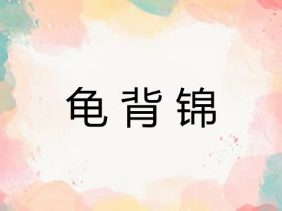 龟背锦