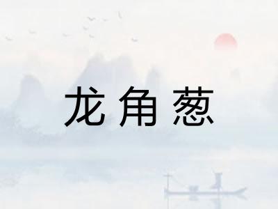 龙角葱