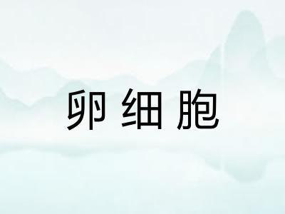 卵细胞