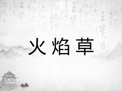 火焰草