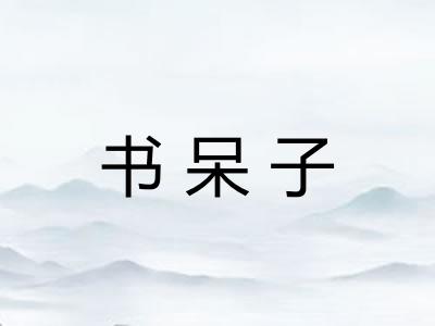 书呆子