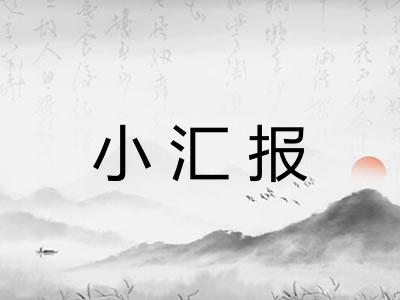 小汇报