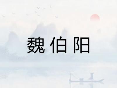 魏伯阳