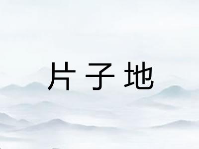 片子地 片子地