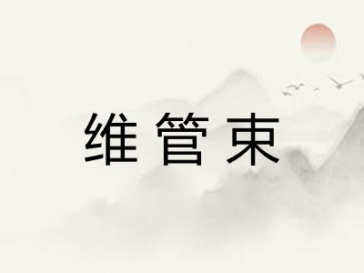 维管束