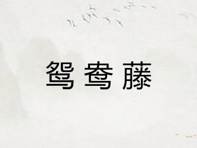 鸳鸯藤