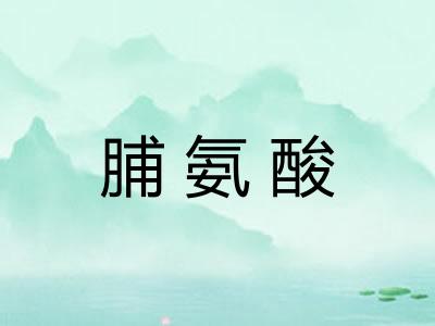 脯氨酸 脯氨酸