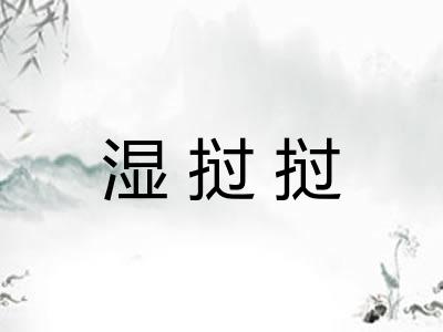 湿挝挝