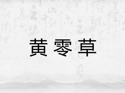 黄零草