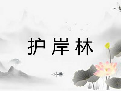 护岸林