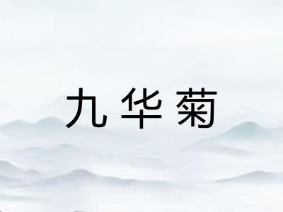九华菊