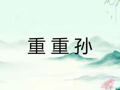 重重孙