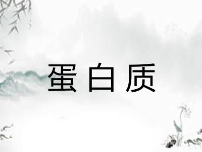蛋白质