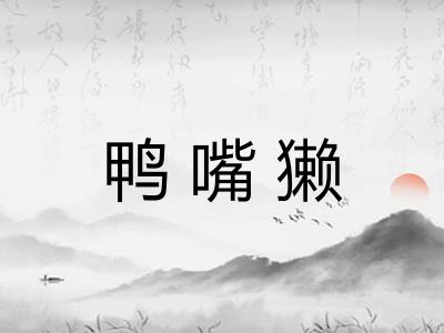 鸭嘴獭