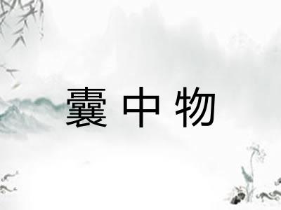 囊中物