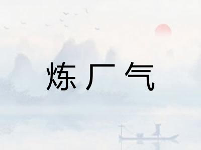 炼厂气