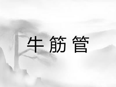 牛筋管